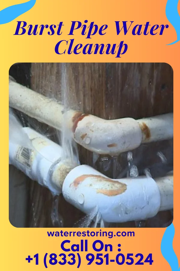 Burst Pipe Water Cleanup in Linthicum, MD