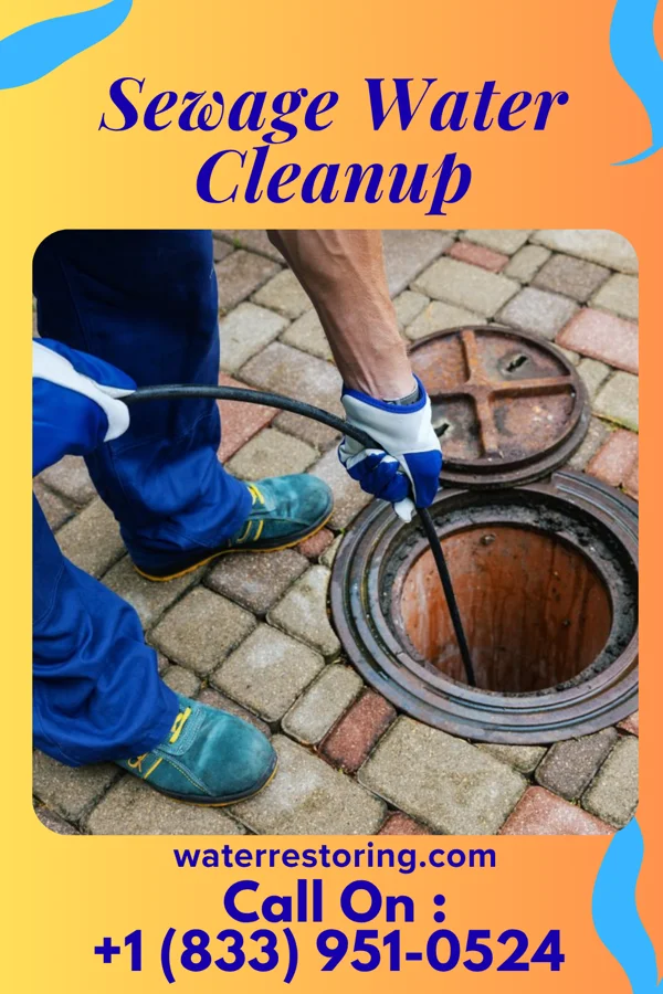 Sewage Water Cleanup in Linthicum, MD